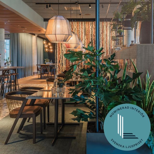 Vi är otroligt stolta att kunna berätta att vårt projekt Quality Hotel The Weaver är bland de 5 nominerade i Svenska Ljuspriset i kategorin interiör belysning! 
Stort grattis till hela teamet och övriga nominerade 💡
—
We are incredibly proud that our project is nominated for the Swedish lighting award!

@nordicchoice 
Ljusdesign: @ljusrum, Emma Kruuse, Carolin Fischer, Margaretha Grahn, Jonas Lindahl
Inredning: @spectrumarkitekter 
Arkitekt: @krooktjader 
Elkonsult: WSP
Elentreprenör: @emillundgrenab 
Fotograf: @sandrahelena.se 

#svenskaljuspriset #swedishlightingaward #interiorlighting #hoteldesign #ljusdesign