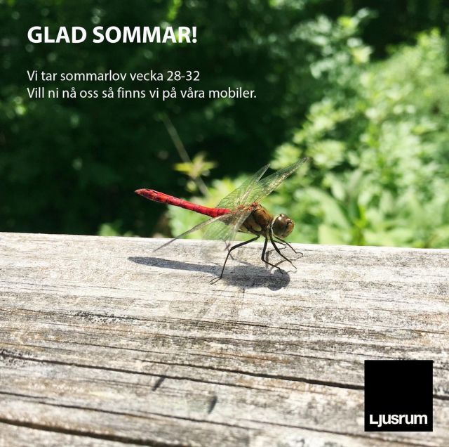 GLAD SOMMAR!

Vårt kontor håller stängt vecka 28-32.
Vid brådskande ärenden nås vi på mobilerna.

--

HAVE A GREAT SUMMER!

Our office will be closed week 28-32.
For urgent matters you can contact us on our cell phones.